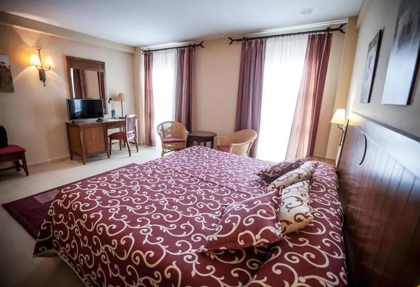 اتاق سوپریور, Gran Hotel Ciudad Del Sur