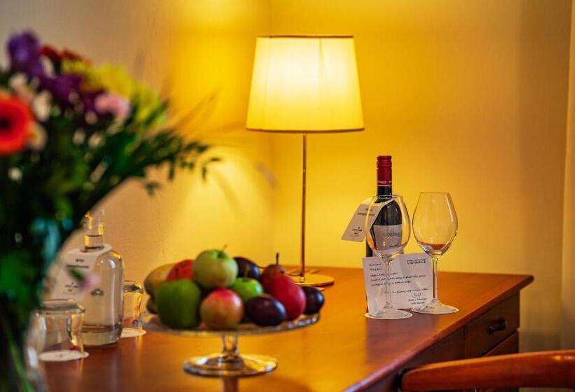 غرفة قياسية فردية, U Divadla   Czech Leading Hotels