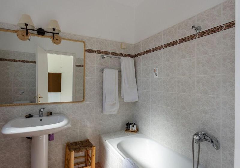 غرفة قياسية, Parosland