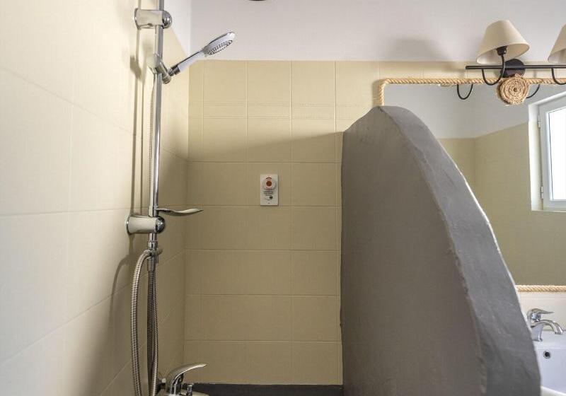 غرفة سوبيريور, Parosland