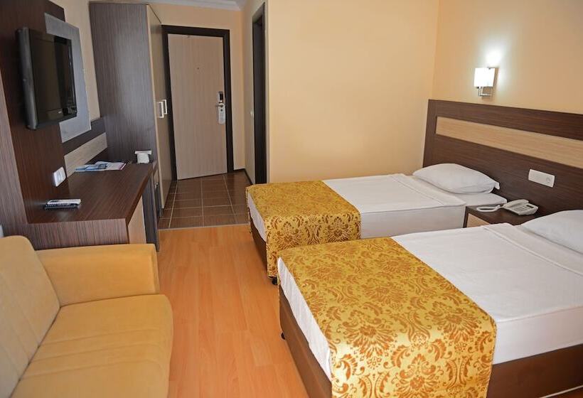 标准间, Lonicera World