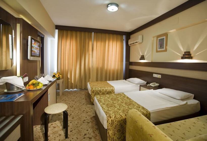 标准间, Lonicera World