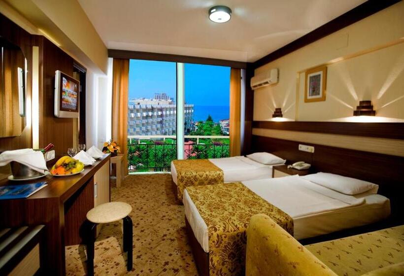 标准间, Lonicera World