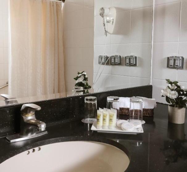 اتاق استاندارد سه نفره, Miramar