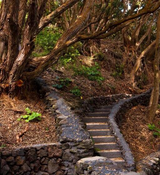 חדר דלוקס, Aldeia Da Fonte