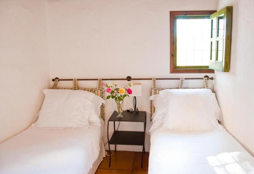 اتاق خانوادگی, Cas Gasi Boutique