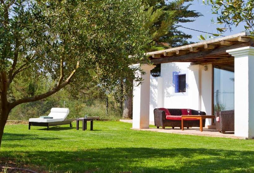 سوئیت جونیور با تراس, Cas Gasi Boutique