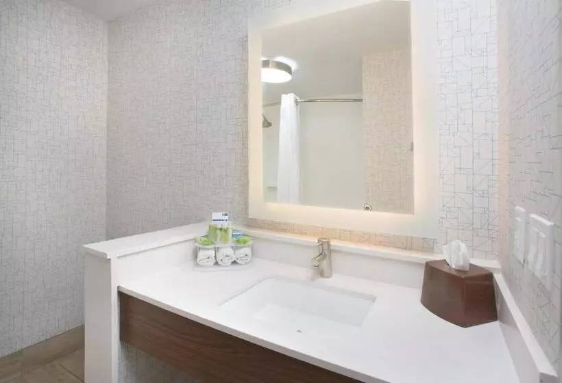 اتاق اجرایی با تخت بزرگ, Holiday Inn Express Salt Lake City Downtown, An Ihg