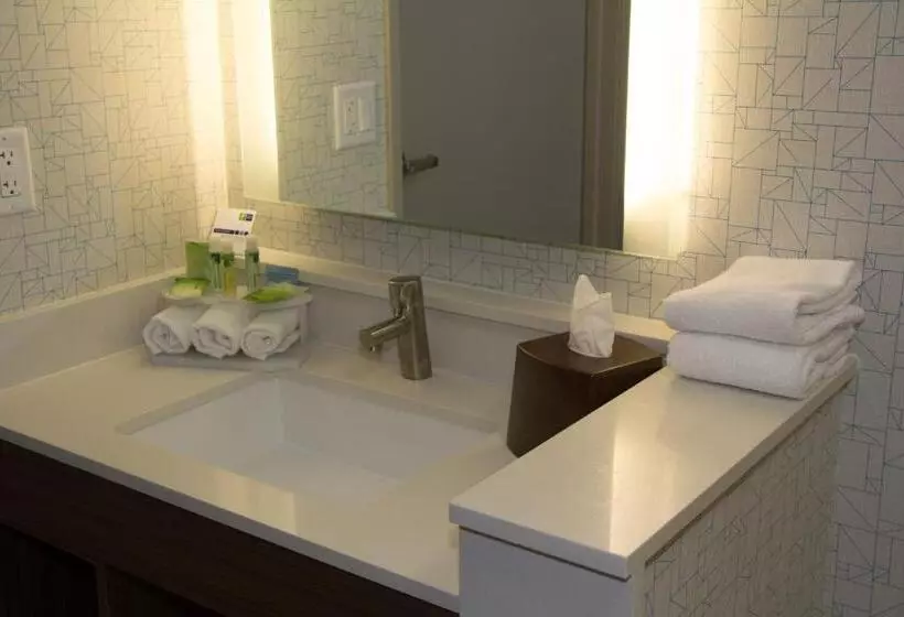 اتاق اجرایی با تخت بزرگ, Holiday Inn Express Salt Lake City Downtown, An Ihg