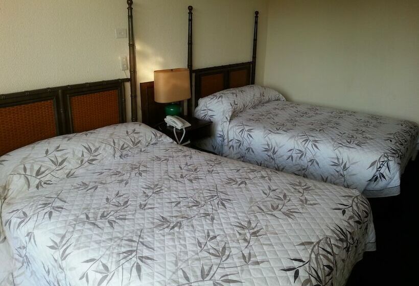 Standard Yhden Hengen Huone, Las Palmas