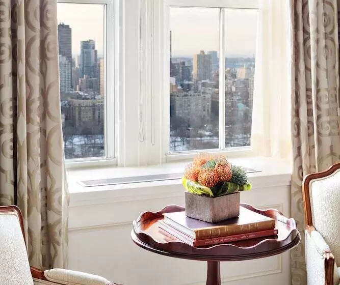 Sviitti Liikuntarajoitteisille, The Pierre, A Taj Hotel, New York
