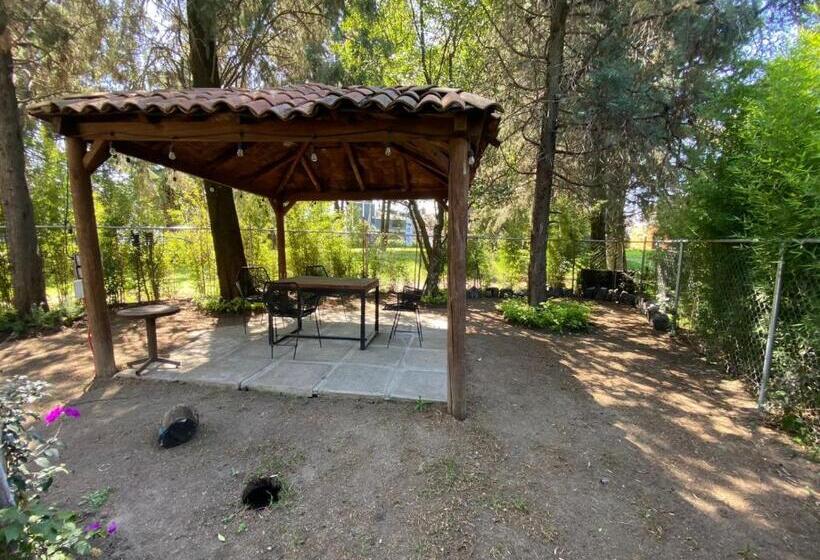 小型套房, Capital O La Huerta Golf &