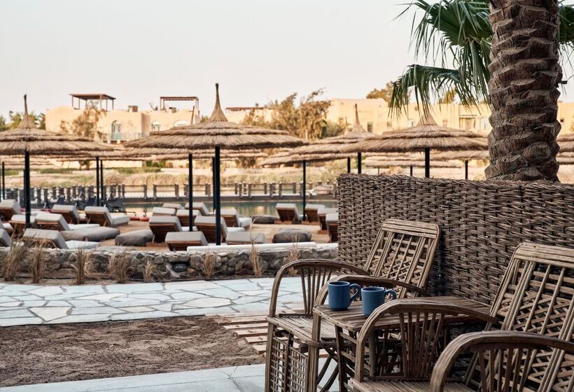 标准间带湖景, Cook’s Club El Gouna