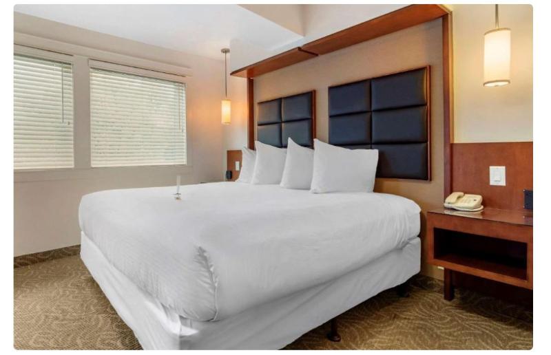 اتاق سوپریور, Grand Mercure Rio De Janeiro Copacabana