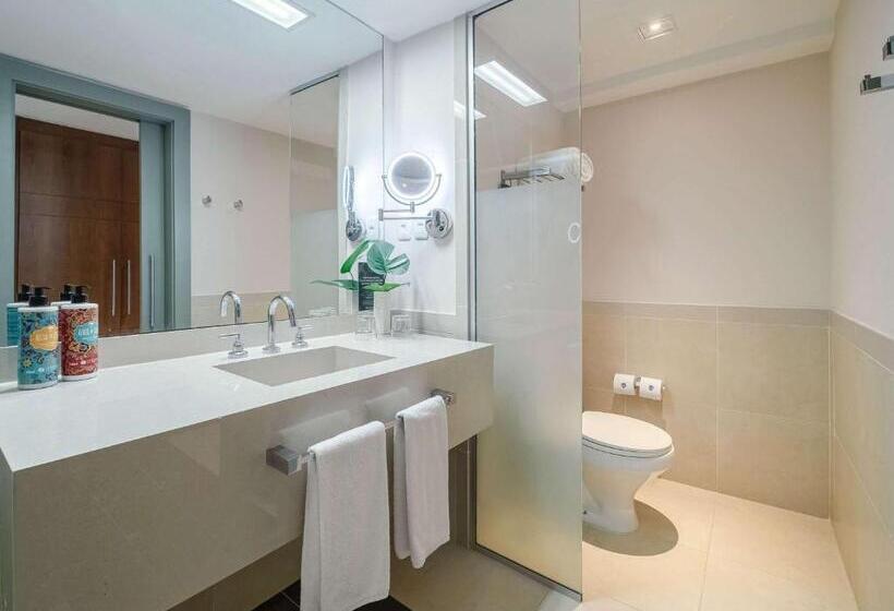 اتاق لوکس با چشم‌انداز شهر, Grand Mercure Rio De Janeiro Copacabana