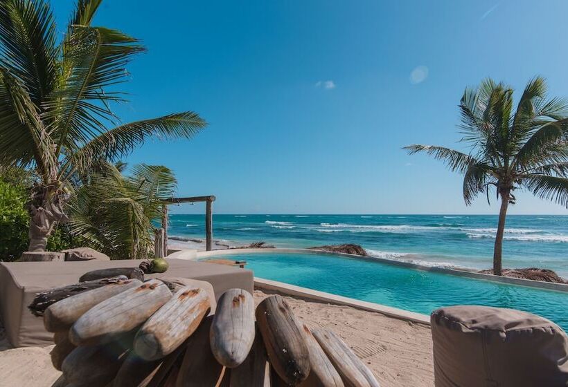 کابین, Papaya Playa Project