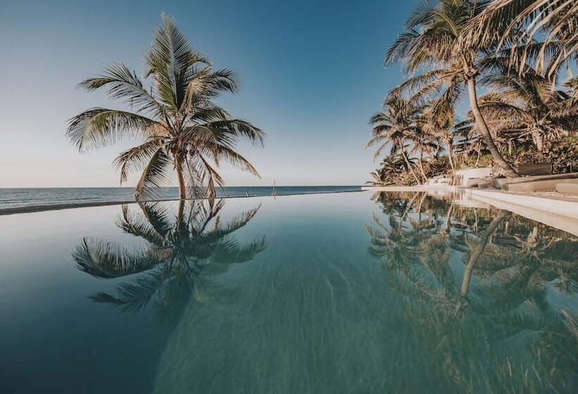 کابین, Papaya Playa Project