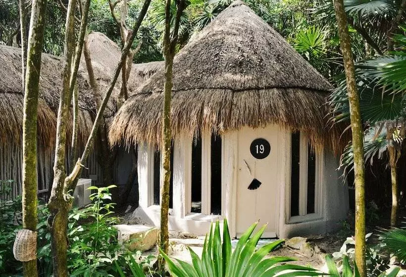 کابین, Papaya Playa Project, Tulum, A Member Of Design Hotels