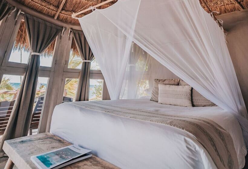 کابین, Papaya Playa Project