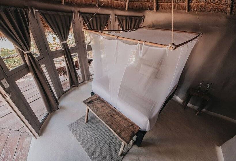 کابین, Papaya Playa Project