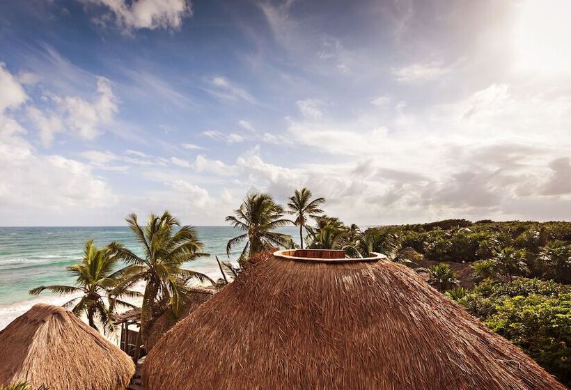 اتاق استاندارد با چشمانداز دریا, Papaya Playa Project