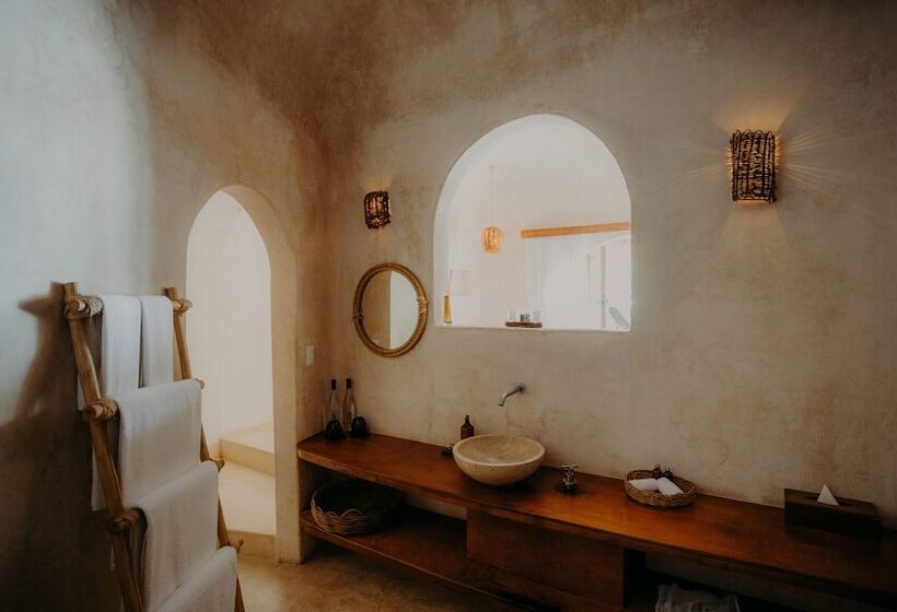 اتاق استاندارد, Papaya Playa Project