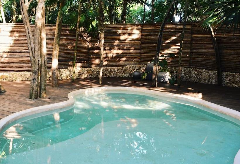 اتاق استاندارد, Papaya Playa Project