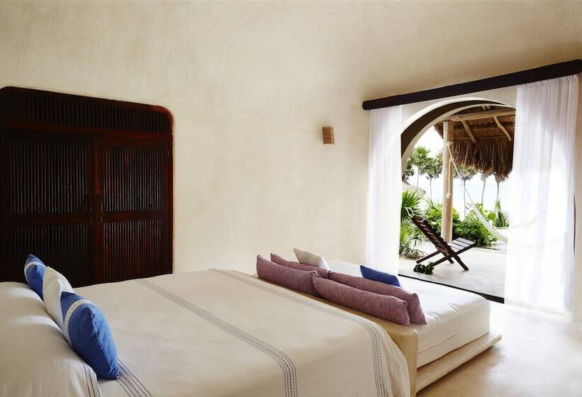 اتاق استاندارد, Papaya Playa Project