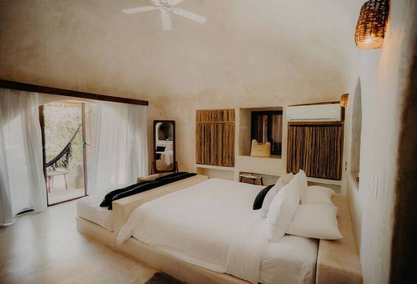 اتاق استاندارد, Papaya Playa Project