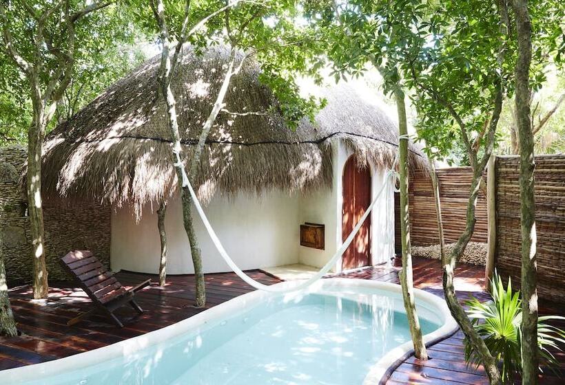 اتاق استاندارد, Papaya Playa Project