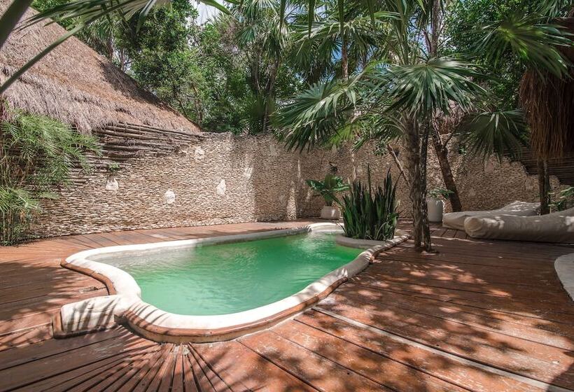 اتاق استاندارد, Papaya Playa Project