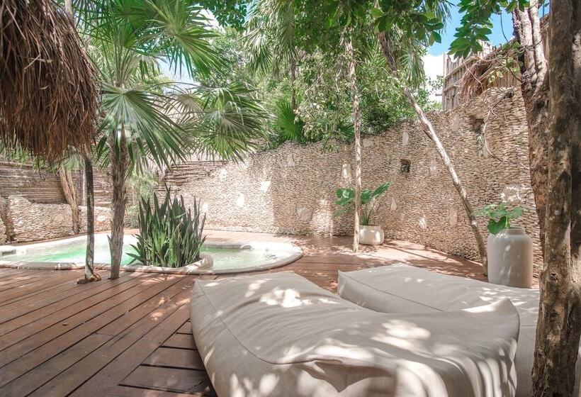 اتاق استاندارد, Papaya Playa Project