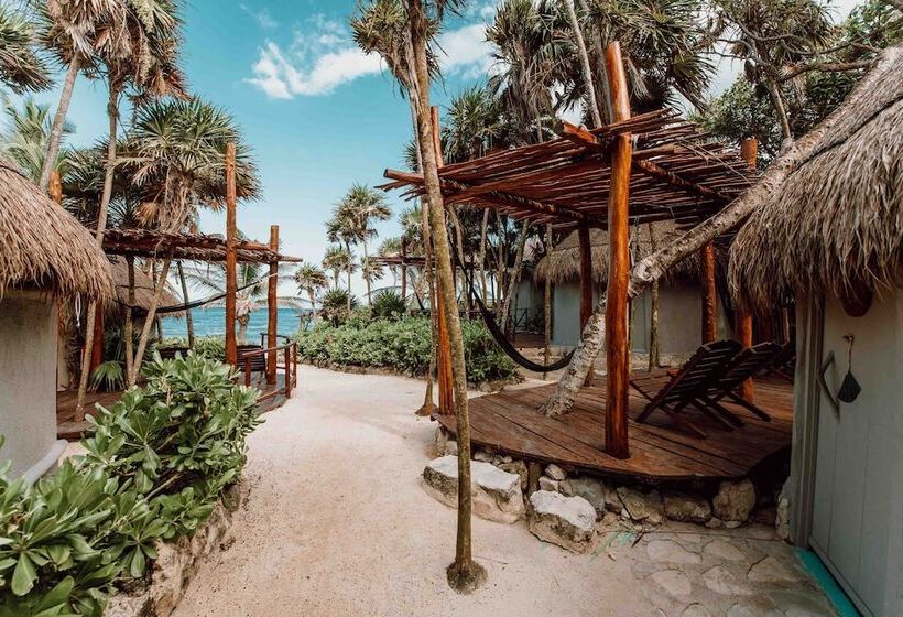 کابین, Papaya Playa Project