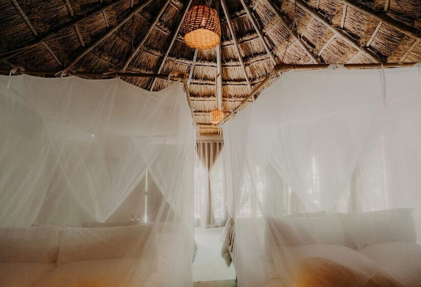 کابین, Papaya Playa Project