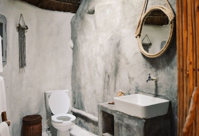 کابین, Papaya Playa Project