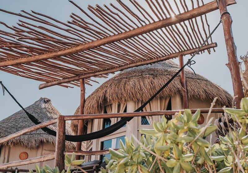 کابین, Papaya Playa Project