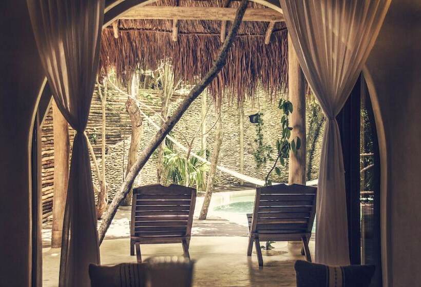 اتاق استاندارد, Papaya Playa Project