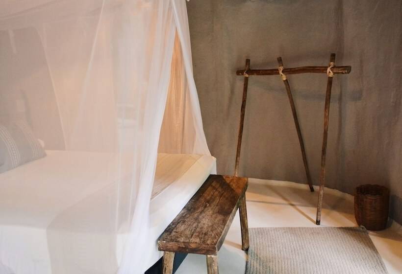 کابین, Papaya Playa Project