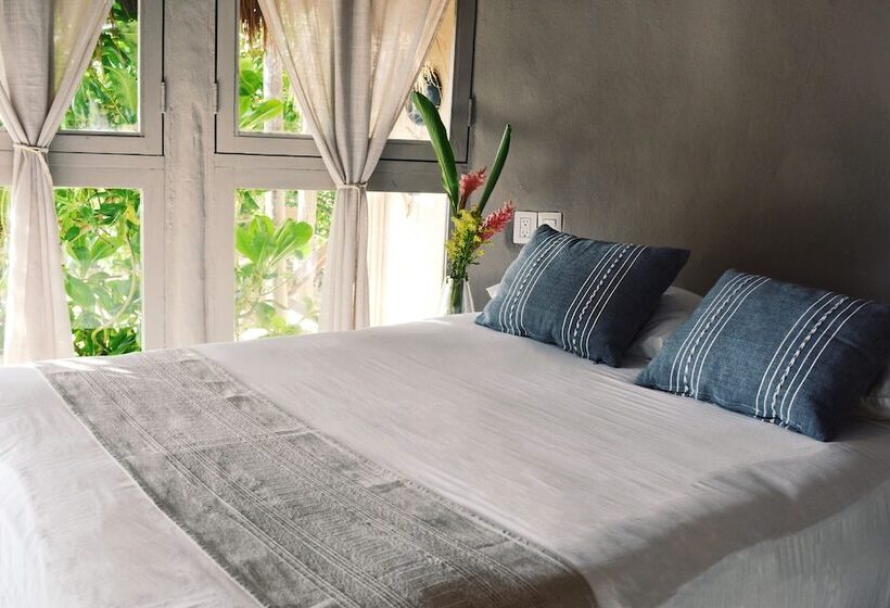 کابین, Papaya Playa Project