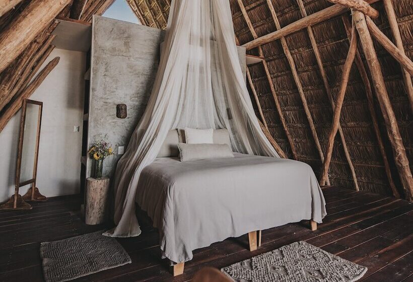 اتاق استاندارد با تخت دوبل و چشمانداز دریا, Papaya Playa Project