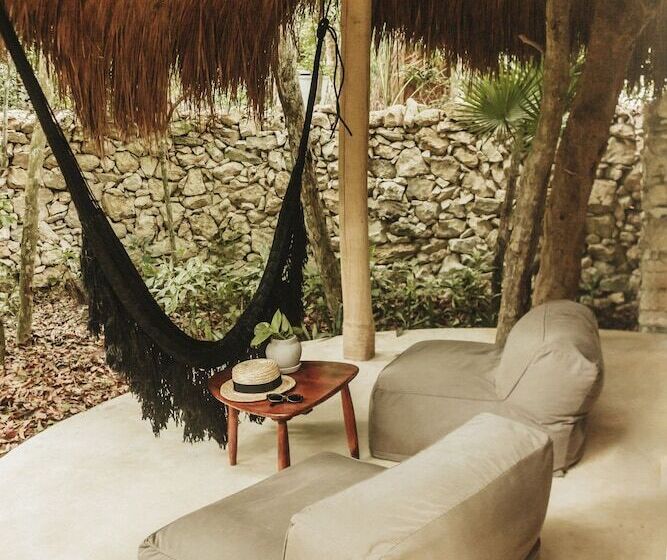 اتاق استاندارد, Papaya Playa Project