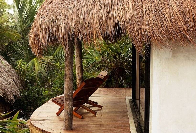 اتاق استاندارد, Papaya Playa Project