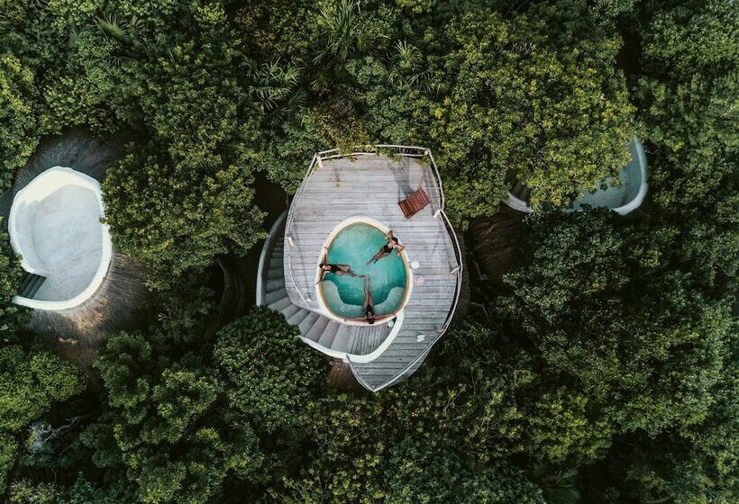 اتاق استاندارد, Papaya Playa Project