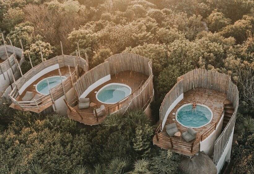 اتاق استاندارد, Papaya Playa Project