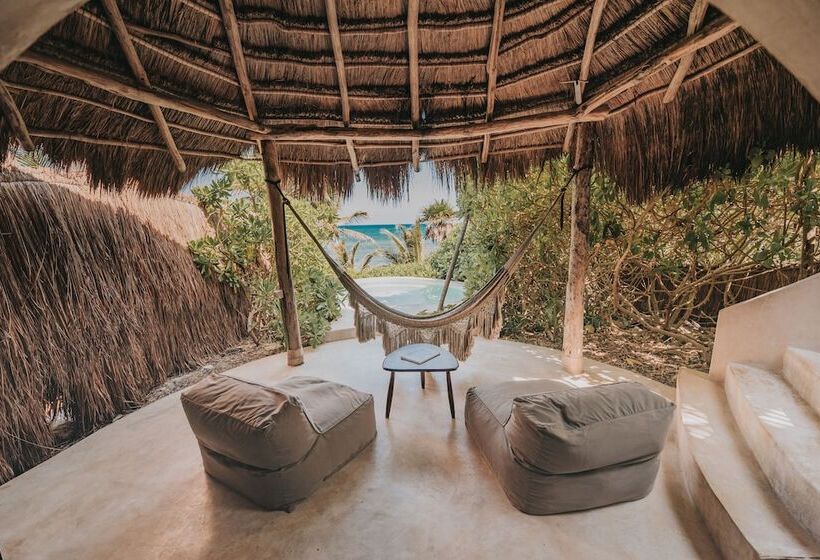 اتاق استاندارد با چشمانداز دریا, Papaya Playa Project