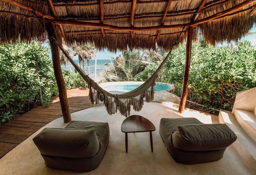 اتاق استاندارد با چشمانداز دریا, Papaya Playa Project