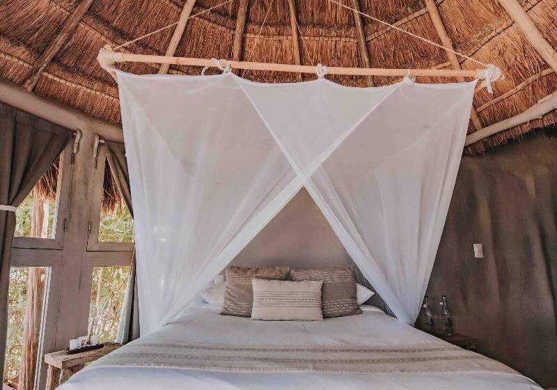 اتاق استاندارد با چشمانداز دریا, Papaya Playa Project