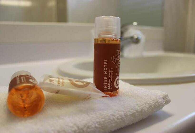 Номер Стандарт, The Originals City, Hôtel Rive Droite, Albi Quartier Madeleine