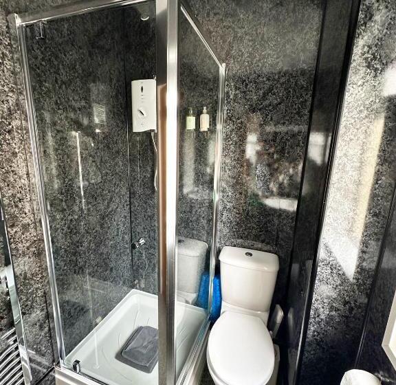 デラックスルーム, The Quies