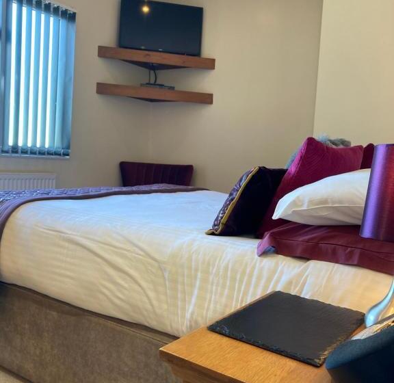 オーシャンビューデラックスルーム, The Quies